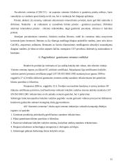 Cemento gamybos technologijos stebėjimas: AB "Akmenės cementas" 13 puslapis