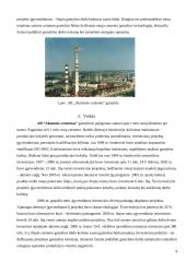 Cemento gamybos technologijos stebėjimas: AB "Akmenės cementas" 4 puslapis