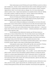 Cemento gamybos technologijos stebėjimas: AB "Akmenės cementas" 6 puslapis