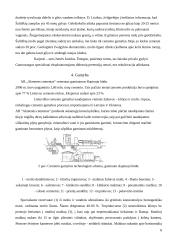 Cemento gamybos technologijos stebėjimas: AB "Akmenės cementas" 8 puslapis