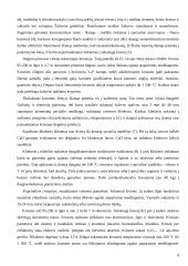 Cemento gamybos technologijos stebėjimas: AB "Akmenės cementas" 9 puslapis