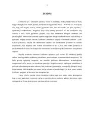 Neįgaliųjų seksualumo problema 2 puslapis