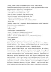 Civilinės saugos pradmenys 2 puslapis