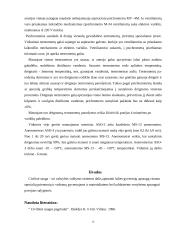 Civilinės saugos pradmenys 7 puslapis