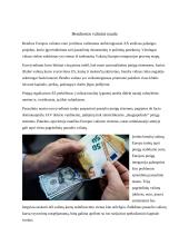 Europos Šalių nacionalinių valiutų perėjimas prie euro 6 puslapis