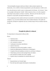 Paauglių požiūris į gyvenimą 7 puslapis