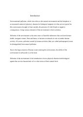 Environmental pollution (referatas anglų kalba) 3 puslapis