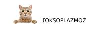 Toksoplazmozė 