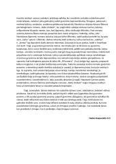 Asmenybės laisvės problema lietuvių literatūroje (kalbėjimas) 2 puslapis