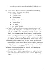 Lietuvos Respublikos civilinė sauga 2 puslapis