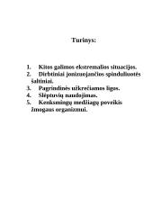 Civilinė sauga - kelios temos 2 puslapis