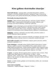 Civilinė sauga - kelios temos 3 puslapis