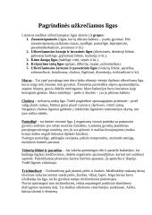 Civilinė sauga - kelios temos 6 puslapis