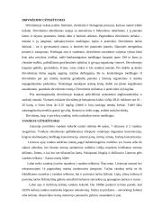 Civilinė sauga įmonėje 6 puslapis