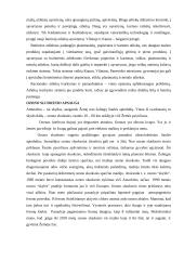 Civilinė sauga įmonėje 8 puslapis