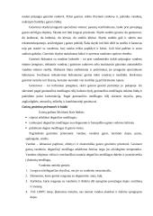 Civilinė sauga įmonėje 10 puslapis