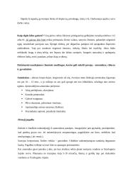 Civilinės saugos signalai ir veiksmai pagal juos 6 puslapis