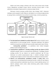 Civilinės saugos slėptuvės 5 puslapis