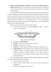 Civilinės saugos slėptuvės 6 puslapis