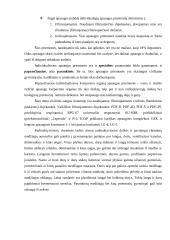 Civilinės saugos slėptuvės 8 puslapis