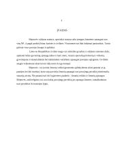 Bendrieji slėptuvių naudojimo reikalavimai bei kolektyvinės apsaugos priemonės 3 puslapis