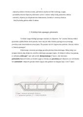 Bendrieji slėptuvių naudojimo reikalavimai bei kolektyvinės apsaugos priemonės 5 puslapis