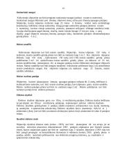 Civilinės saugos slėptuvės, jų tipai bei vietos 13 puslapis