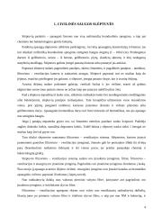 Civilinės saugos slėptuvės, jų naudojimas bei įrengimas 4 puslapis