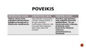 Informacinis karas. Kibernetinis karas. Hibridinis karas. Poveikis 10 puslapis