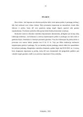 Importas Lietuvoje 2019-2021m.  11 puslapis