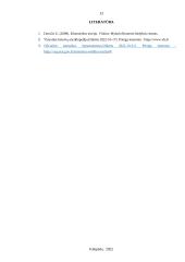 Importas Lietuvoje 2019-2021m.  12 puslapis