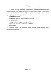 Importas Lietuvoje 2019-2021m.  2 puslapis