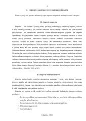 Importas Lietuvoje 2019-2021m.  3 puslapis