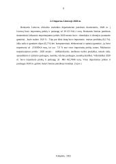 Importas Lietuvoje 2019-2021m.  7 puslapis