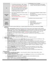 Vaikų ligos (teorija) 11 puslapis