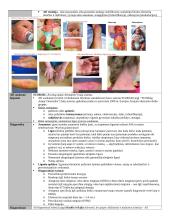 Vaikų ligos (teorija) 13 puslapis