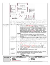 Vaikų ligos (teorija) 10 puslapis