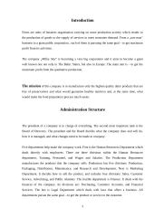 Company analysis: milk producton "Milky sky" 2 puslapis