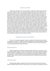 Autonominis vairavimas 3 puslapis