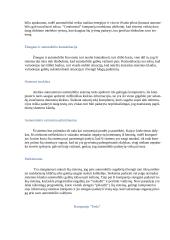 Autonominis vairavimas 4 puslapis