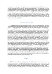 Autonominis vairavimas 6 puslapis