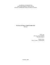 Čigonų sociokultūriniai bruožai