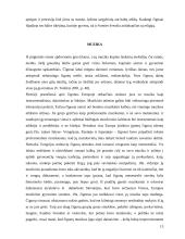 Čigonų sociokultūriniai bruožai 13 puslapis