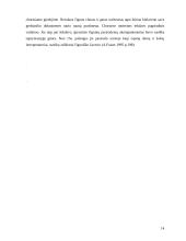 Čigonų sociokultūriniai bruožai 14 puslapis