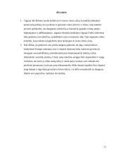 Čigonų sociokultūriniai bruožai 15 puslapis