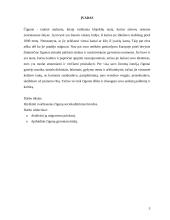 Čigonų sociokultūriniai bruožai 3 puslapis