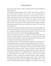 Čigonų sociokultūriniai bruožai 4 puslapis