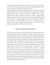 Čigonų sociokultūriniai bruožai 8 puslapis