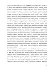 Čigonų sociokultūriniai bruožai 9 puslapis