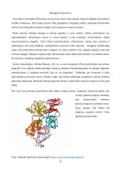 Namų darbas. Atmintis. Neuromokslai 11 puslapis